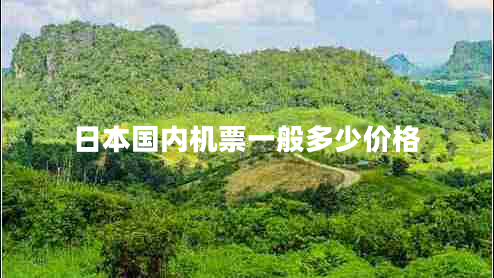 日本國內機票一般多少價(jià)格