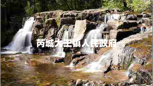 芮城大王鎮人民政府