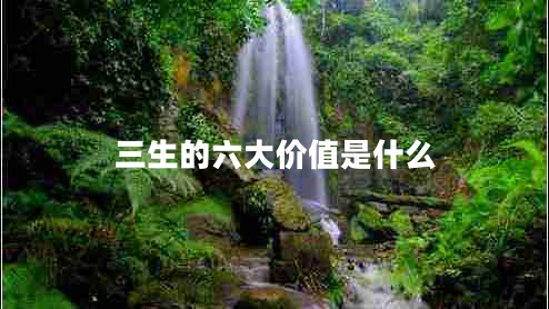 三生的六大價(jià)值是什么