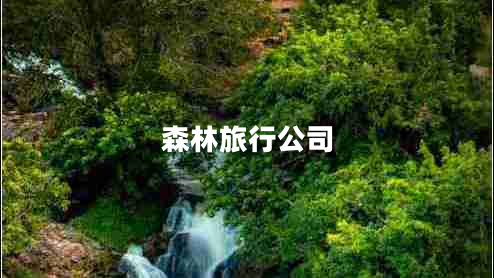 森林旅行公司