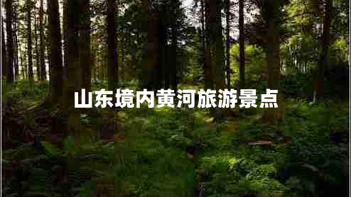 山東境內黃河旅游景點(diǎn)