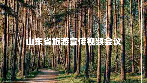 山東省旅游宣傳視頻會(huì )議