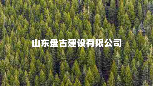 山東盤(pán)古建設有限公司