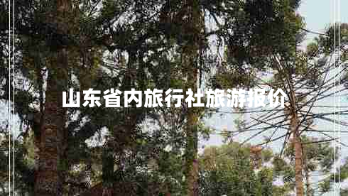 山東省內旅行社旅游報價(jià)