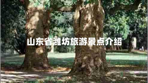 山東省濰坊旅游景點(diǎn)介紹