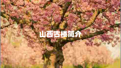 山西古樓簡介