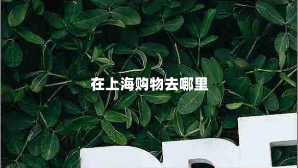 在上海購物去哪里