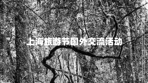 上海旅游節(jié)國(guó)外交流活動(dòng)