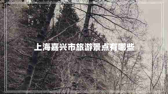 上海嘉興市旅游景點(diǎn)有哪些