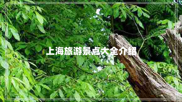 上海旅游景點(diǎn)大全介紹
