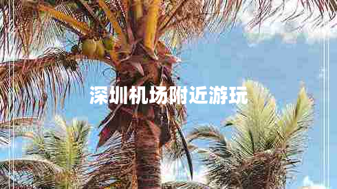 深圳機場(chǎng)附近游玩