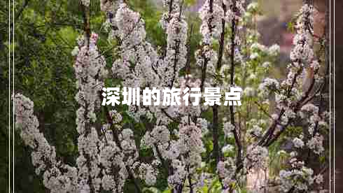 深圳的旅行景點(diǎn)