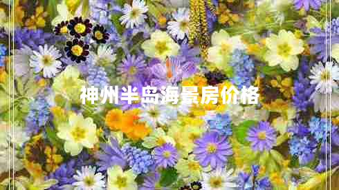 神州半島海景房?jì)r(jià)格