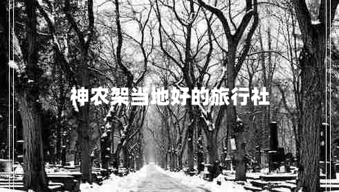 神農架當地好的旅行社