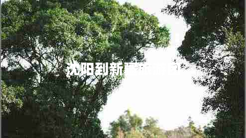 沈陽(yáng)到新疆旅游團