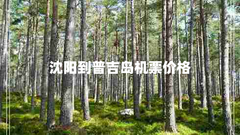 沈陽(yáng)到普吉島機票價(jià)格