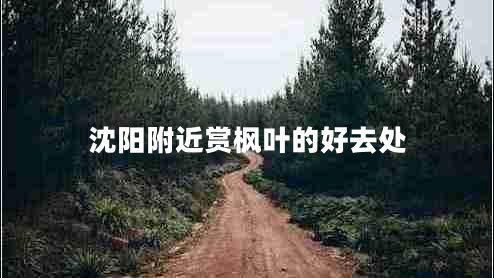 沈陽(yáng)附近賞楓葉的好去處