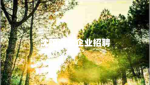 沈陽(yáng)汽車(chē)企業(yè)招聘