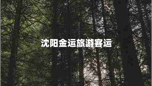 沈陽(yáng)金運旅游客運