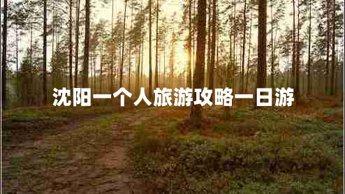 沈陽(yáng)一個(gè)人旅游攻略一日游