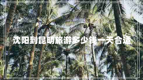 沈陽(yáng)到昆明旅游多少錢(qián)一天合適