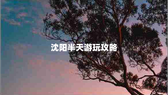 沈陽(yáng)半天游玩攻略