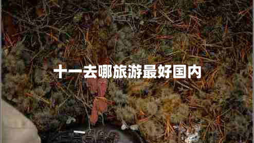 十一去哪旅游最好國內