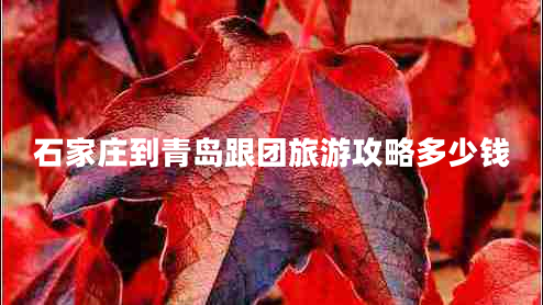 石家莊到青島跟團旅游攻略多少錢(qián)