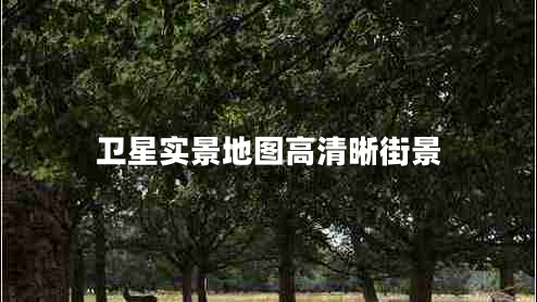 衛(wèi)星實景地圖高清晰街景