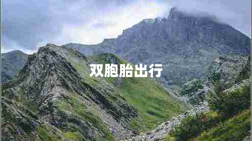 雙胞胎出行
