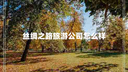 絲綢之路旅游公司怎么樣