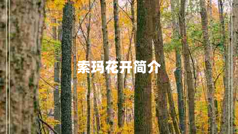 索瑪花開(kāi)簡(jiǎn)介