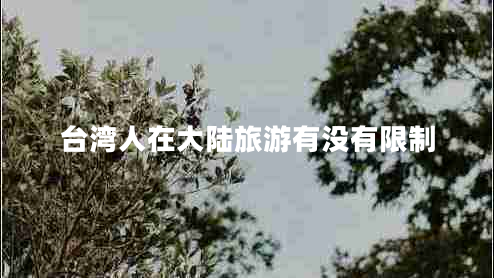 臺灣人在大陸旅游有沒有限制