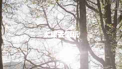 太康去哪玩