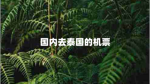 國內去泰國的機票