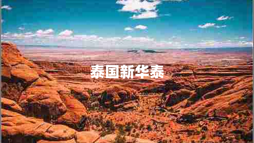 泰國新華泰