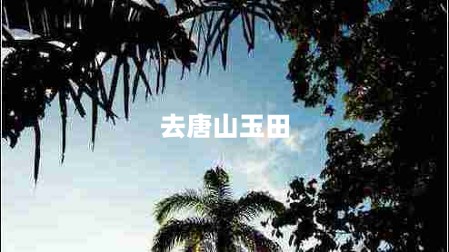 去唐山玉田