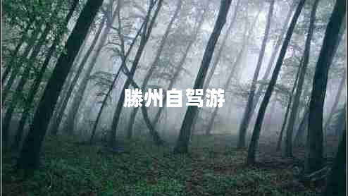 滕州自駕游