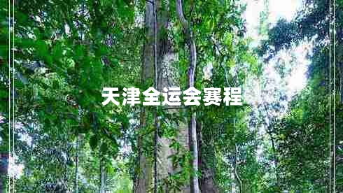 天津全運會(huì )賽程
