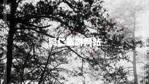 銅仁旅游網(wǎng)站