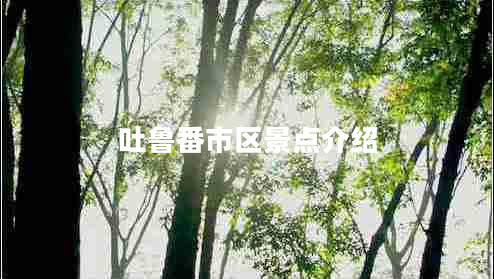 吐魯番市區景點(diǎn)介紹