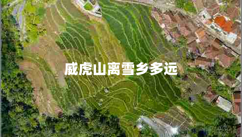 威虎山離雪鄉多遠