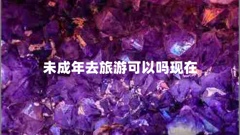未成年去旅游可以嗎現在