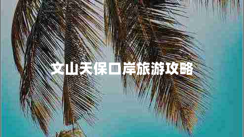 文山天保口岸旅游攻略