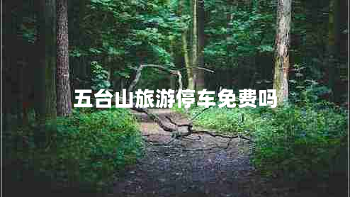 五臺(tái)山旅游停車免費(fèi)嗎