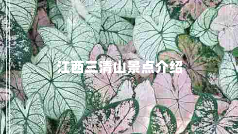 江西三清山景點介紹