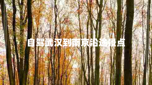 自駕武漢到南京沿途景點