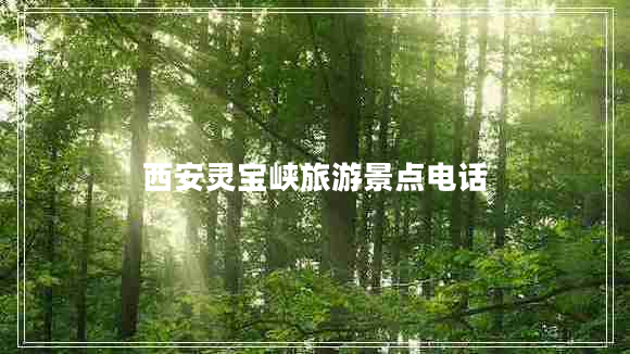 西安靈寶峽旅游景點電話