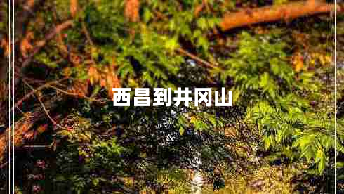 西昌到井岡山