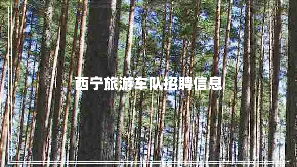 西寧旅游車隊(duì)招聘信息